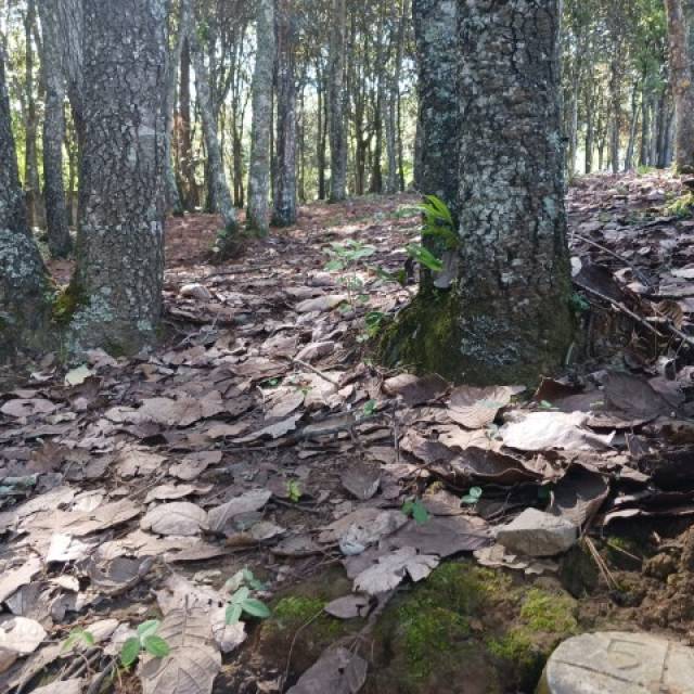 Terreno Residencial en Venta Sumpango, Sacatepéquez - Miniatura 11