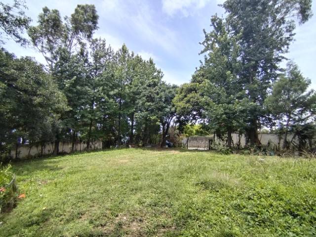 Terreno en Venta Santa Lucía Milpas Altas, Sacatepéquez - Miniatura 7