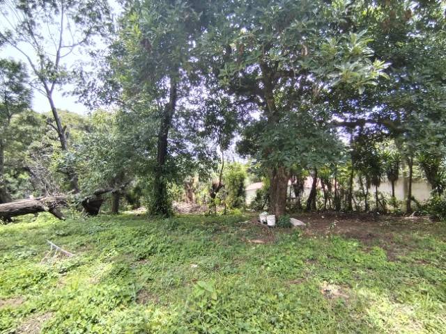 Terreno en Venta Santa Lucía Milpas Altas, Sacatepéquez - Miniatura 10