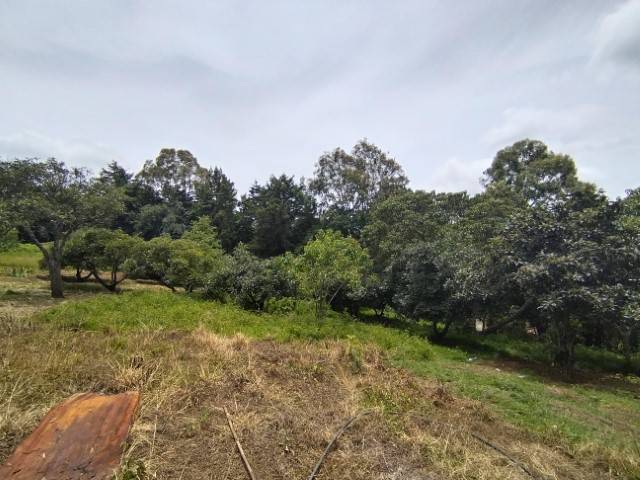 Terreno en Venta Santa Lucía Milpas Altas, Sacatepéquez - Miniatura 11