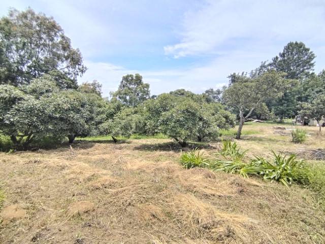 Terreno en Venta Santa Lucía Milpas Altas, Sacatepéquez - Miniatura 13