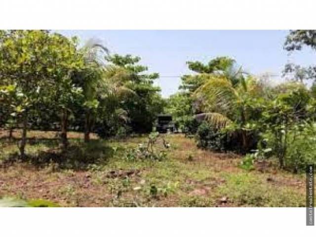 VENTA DE TERRENO EN TORRE MOLINOS - Image 2