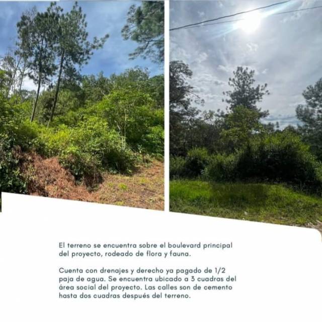 VENDO TERRENO EN SAN RAYMUNDO, SACATEPEQUEZ - Image 4