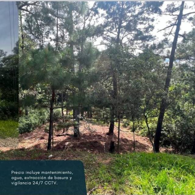 VENDO TERRENO EN SAN RAYMUNDO, SACATEPEQUEZ - Image 5