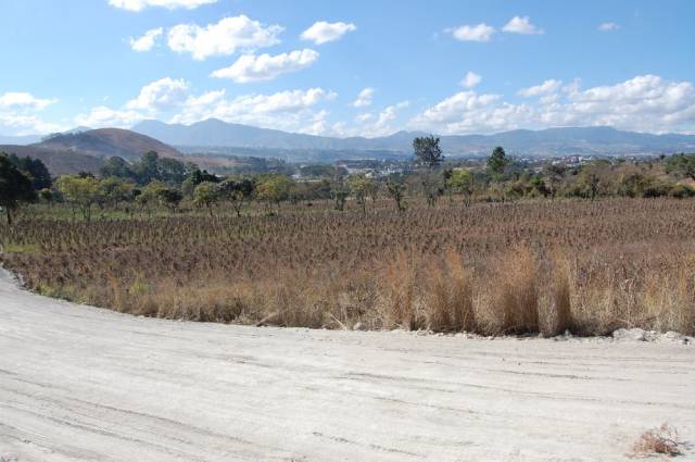VENDO FINCA EN SAN MIGUEL PETAPA POR LA VAS - Image 3