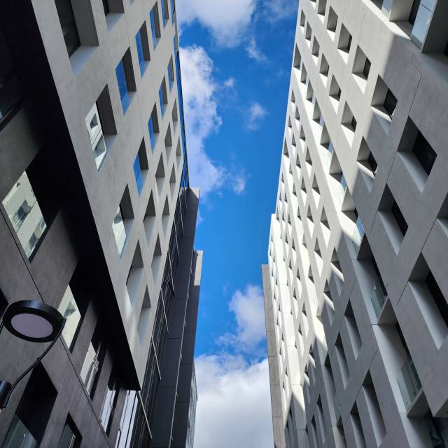 Apartamento en Renta Villa Mariscal Zona 11 Ciudad - Miniatura 2