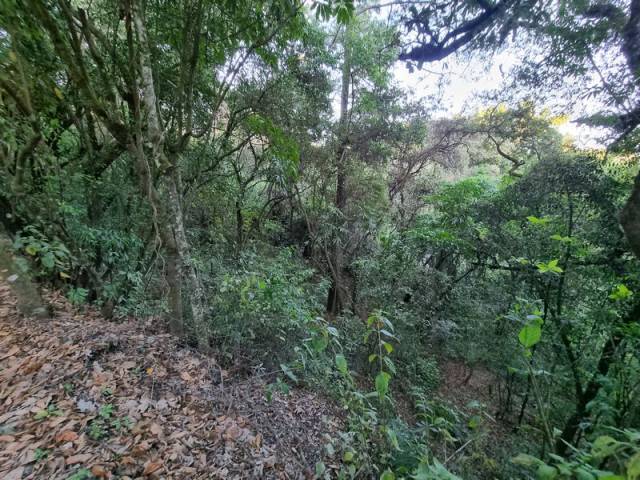 Terreno en Venta en El Encinal, Zona 7 de Mixco - Miniatura 7