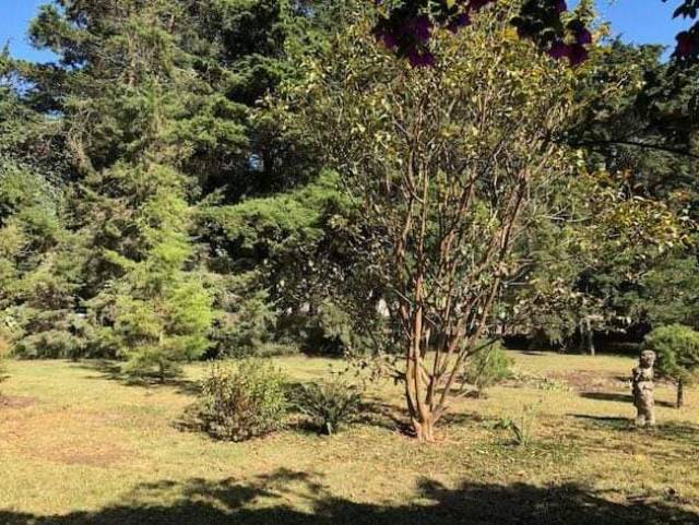 VENDO TERRENO EN KM 22.5 CAES , FRAIJANES - Image 1
