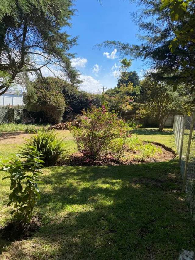 VENDO TERRENO EN KM 22.5 CAES , FRAIJANES - Miniatura 2