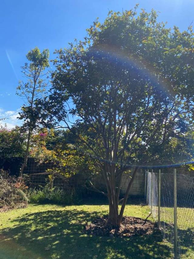 VENDO TERRENO EN KM 22.5 CAES , FRAIJANES - Miniatura 4