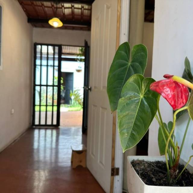 Casa Amueblada en Renta Antigua Guatemala, Sacatepéquez - Miniatura 7