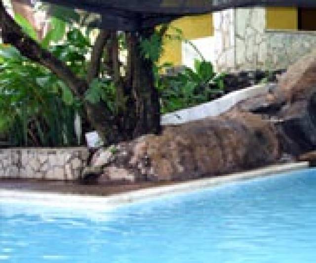 Terreno Vacacional en Venta Cataratas de Uxmel Reserva - Miniatura 6