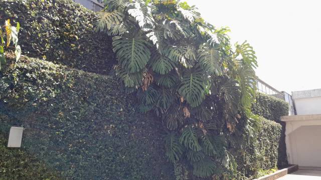 VENDO CASA EN CONDOMINIO EL CARMEN - Miniatura 7