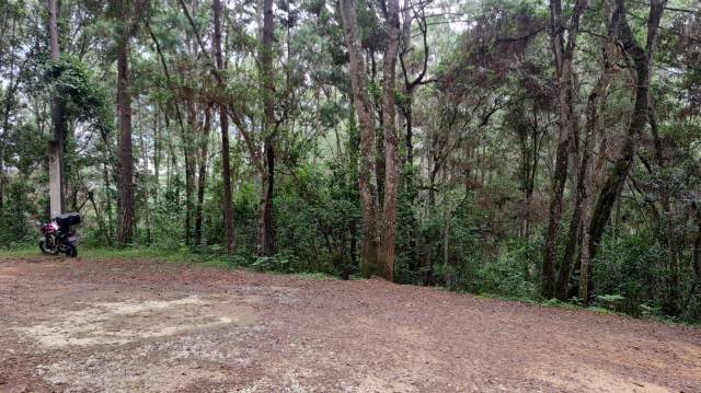 VENDO TERRENO EN PRADERAS DE BAMBU - Image 3
