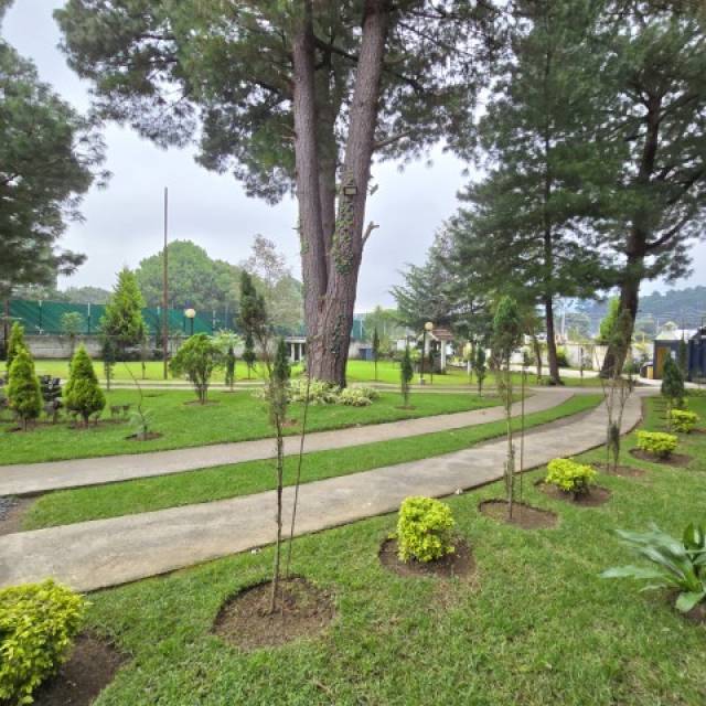 PAC-009-11-24 - Image 2