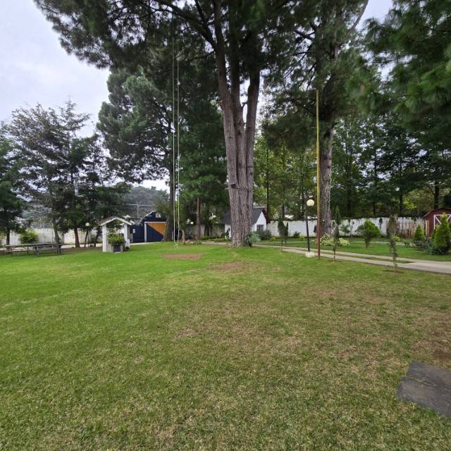 PAC-009-11-24 - Image 5