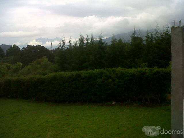 Precioso terreno - Image 4