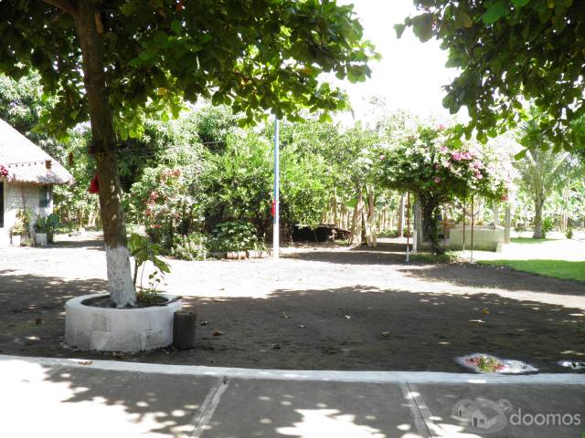 vendo lindo terreno - Image 5