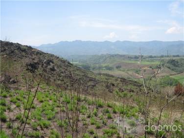 Comprar Terreno Villa Canales Terreno para inversión en urbanización L