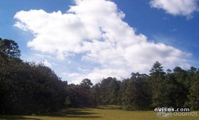 Comprar Finca La Cal El Pacate - Miniatura 3