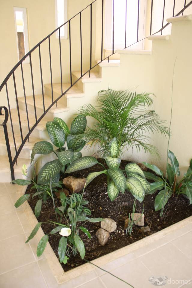 VENTA DE CASA NUEVAAAAAAAAAAAAAAA HERMOSAAA!!!!! - Image 4