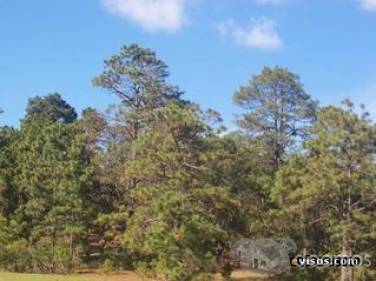 Comprar Finca La Cal El pacate - Miniatura 3