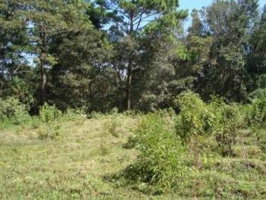 Comprar Terreno Guatemala Carretera Salvador Km17 - Image 1