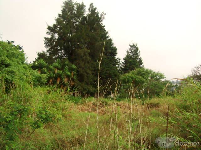 VENDO TERRENO GUATEMALA * 2 MANZANAS CARRETERA A EL SALVADOR