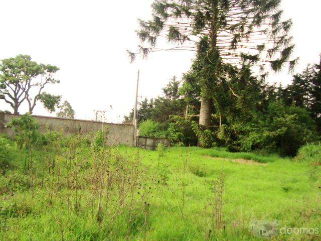 VENDO TERRENO PARA DESARROLLO HABITACIONAL - Image 1