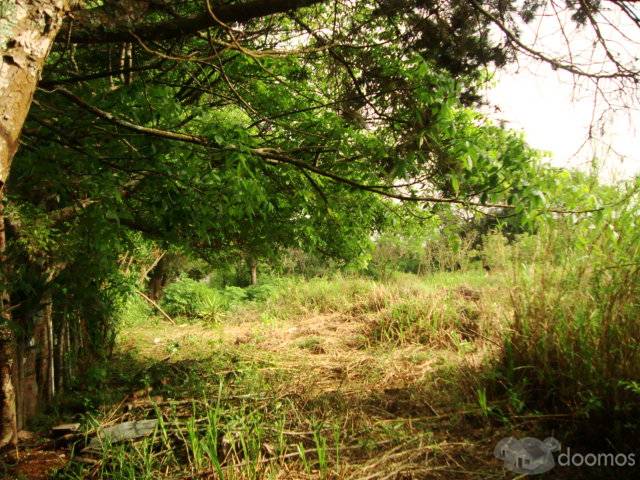 VENDO TERRENO PARA DESARROLLO HABITACIONAL - Image 2
