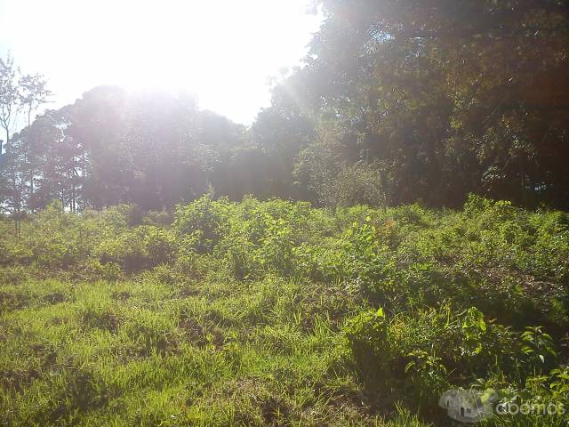 RESIDENCIAL SAN AGUSTIN - Image 3