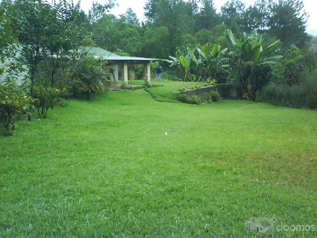 ALQUILO CASAS - Image 2
