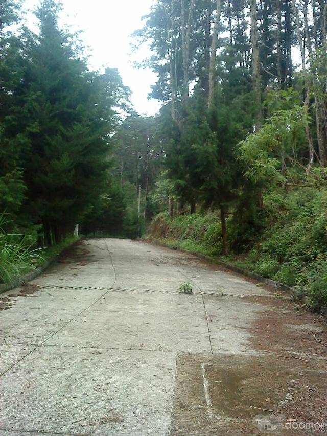 VENDO TERRENO 11X33MTS RESIDENCIAL RANCHO VERDE Q 140 MIL NEGOCIABLES - Image 1