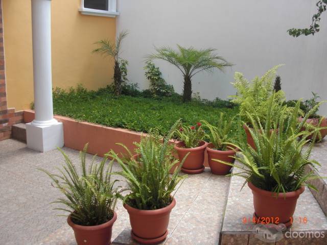 INMOBILIARIA PRONTO VENDE BELLA CASA,SECTOR EXCLUSIVO B-3,SAN CRISTOBAL - Miniatura 12
