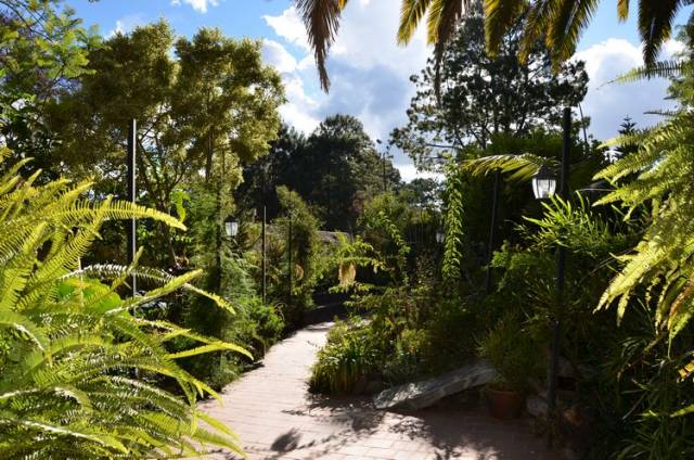 CITYMAX ANTIGUA VENDE HERMOSA CASA EN SAN LUCAS - Miniatura 6