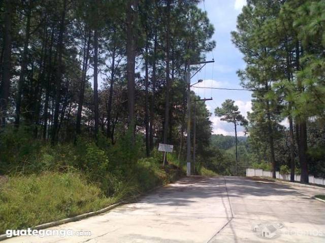 Disfruta de bosque y aire puro! - Image 4