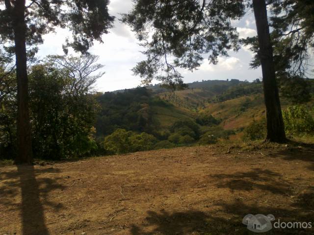 CARRETERA A EL SALVADOR, VENDO TERRENO DE 13X32 - Image 5