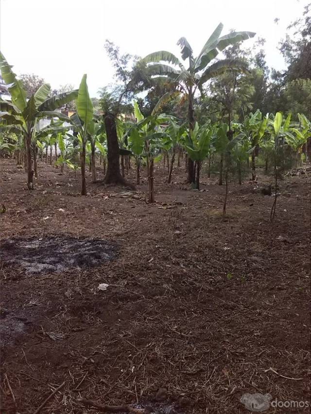 vendo terreno plano a 5 minutos de la Antigua Guatemala, - Image 2