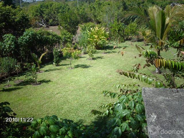 Vendo casa y terreno - Image 2