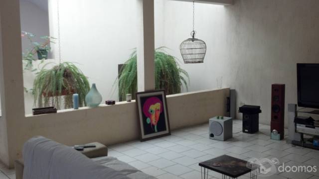 PINARES DE SAN CRISTOBAL ZONA 8 MIXCO tel 55883279/53680408 - Image 2