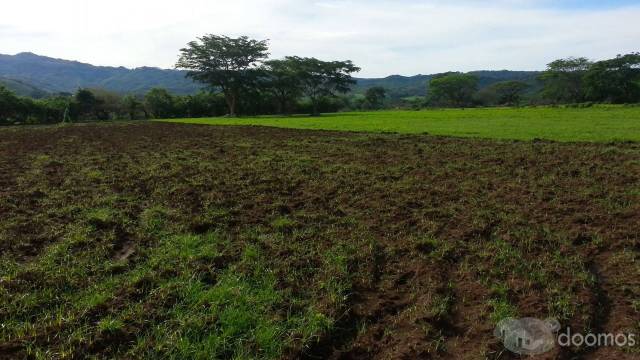 Finca para una buena inversion - Image 2