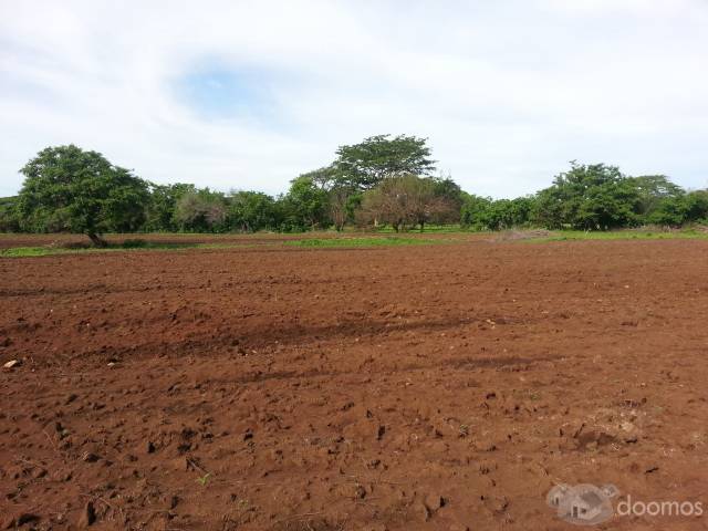 Finca para una buena inversion - Image 3