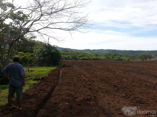 Finca para una buena inversion - Image 4