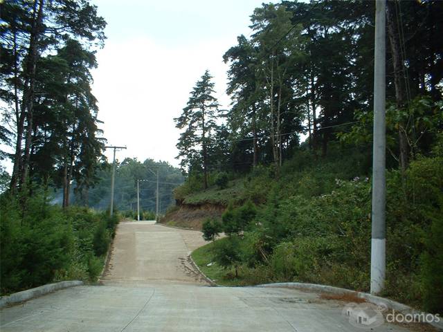 Proyecto Rancho Verde - Image 2