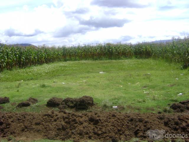 Venta de cuerda en la Esperanza - Image 1