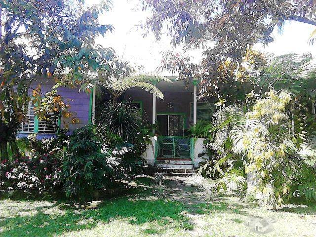 Finca Cafetalera de 36 Manzanas En Venta En Quetzaltenango, - Image 1