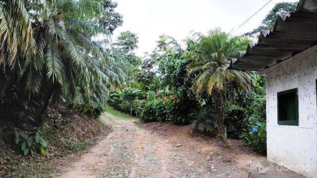 Finca Cafetalera de 36 Manzanas En Venta En Quetzaltenango, - Image 3