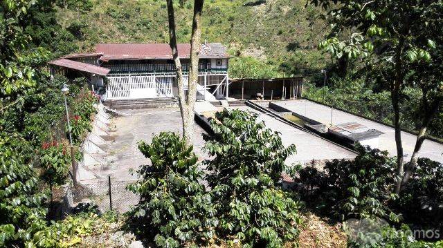 Finca Cafetalera de 36 Manzanas En Venta En Quetzaltenango, - Image 5