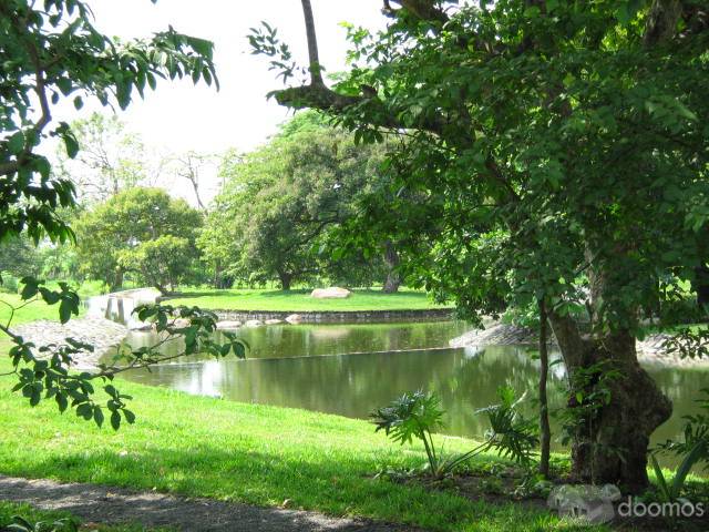 lote escuintla - Image 4