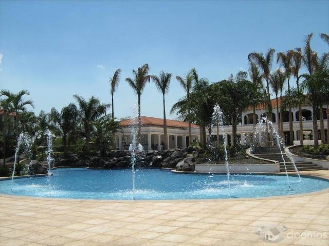 lote escuintla - Image 5